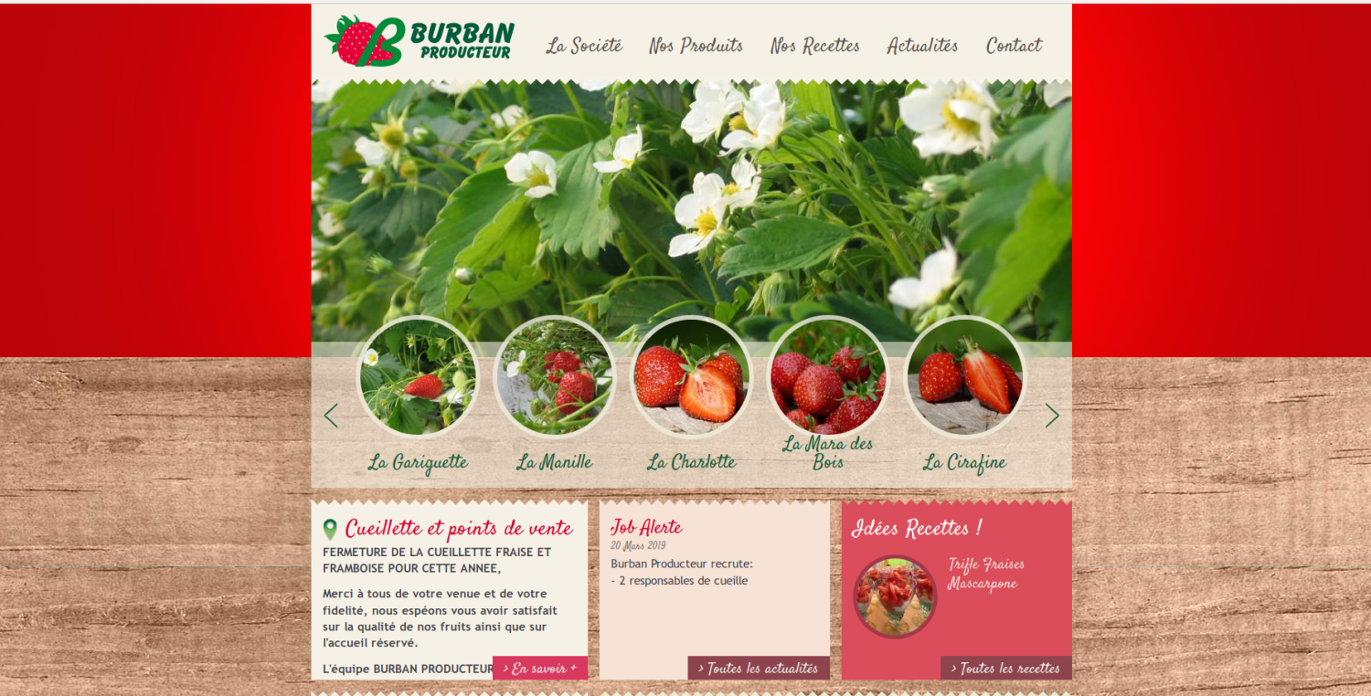 Page d'accueil du site 'La fraise de la Baule'